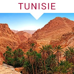 Kit Novembre : TUNISIE